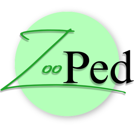 Zooped Logo Design